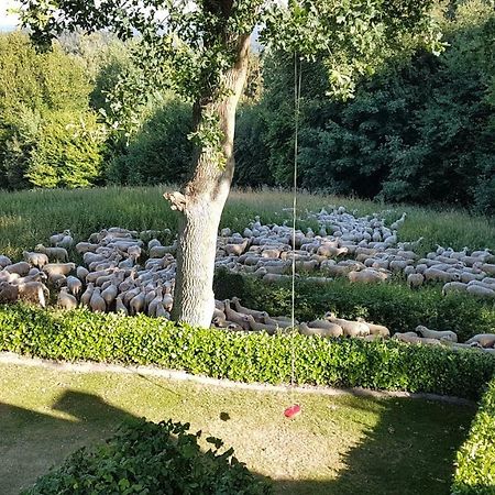 Ferienwohnung "Tecklenburger Augenblicke" 외부 사진